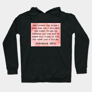 Bible Verse Jeremiah 29:11 Hoodie